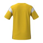 Erima póló - férfi (CELEBRATE 125)