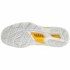 Kézilabda cipő Mizuno WAVE STEALTH V Unisex 