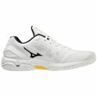Kézilabda cipő Mizuno WAVE STEALTH V Unisex 
