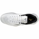 Kézilabda cipő Mizuno WAVE STEALTH V Unisex 