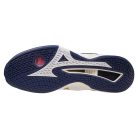 Kézilabda cipő Mizuno WAVE STEALTH NEO Unisex 