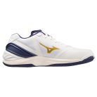 Kézilabda cipő Mizuno WAVE STEALTH NEO Unisex 