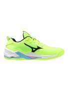 Mizuno WAVE STEALTH NEO 2 Unisex Kézilabda cipő